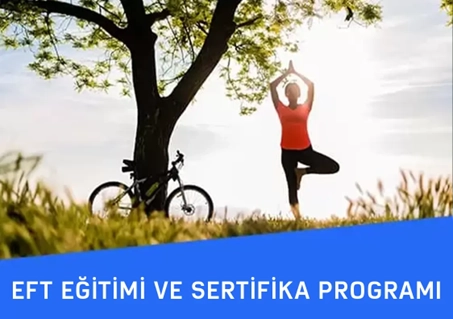 EFT Eğitimi ve Sertifika Programı blog yazısı resmi | Dinamik Terapi Enstitüsü